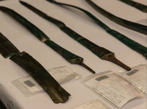 7 Pedang Kuno Berusia 3.000 Tahun Ditemukan di Bawah Rawa-Rawa