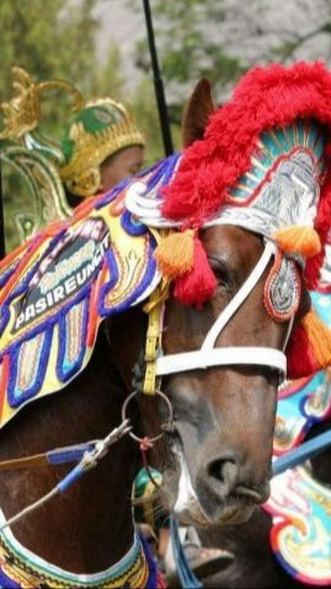 Meriah, Khitanan Gibran Diarak Pakai Kuda Renggong Sekampung Turun Ke Jalan Berjoget