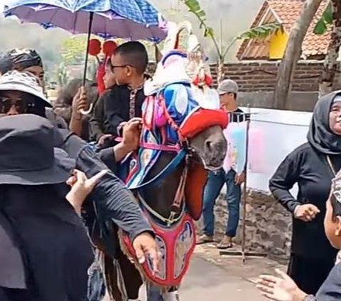 Meriah, Khitanan Gibran Diarak Pakai Kuda Renggong Sekampung Turun Ke Jalan Berjoget