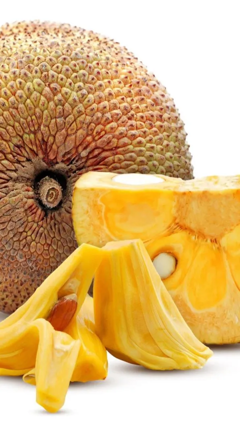 Resep Nangka Matang yang Enak dan Legit, Mudah Dibuat