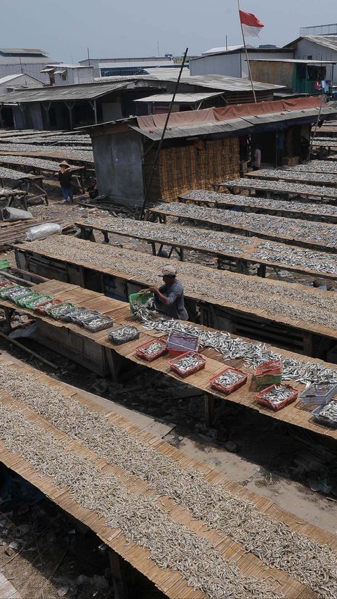 FOTO: Geliat Produksi Ikan Asin di Tengah Cuaca Tak Tentu