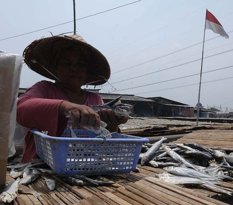 FOTO: Geliat Produksi Ikan Asin di Tengah Cuaca Tak Tentu