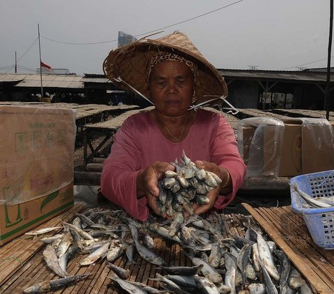 FOTO: Geliat Produksi Ikan Asin di Tengah Cuaca Tak Tentu