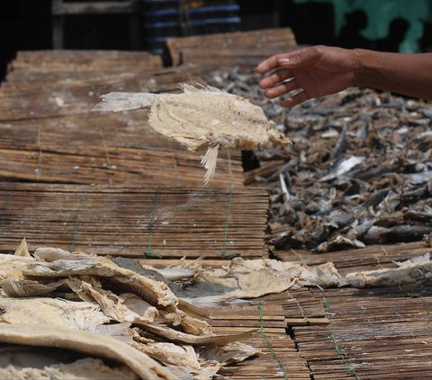 FOTO: Geliat Produksi Ikan Asin di Tengah Cuaca Tak Tentu