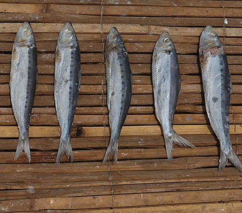 FOTO: Geliat Produksi Ikan Asin di Tengah Cuaca Tak Tentu