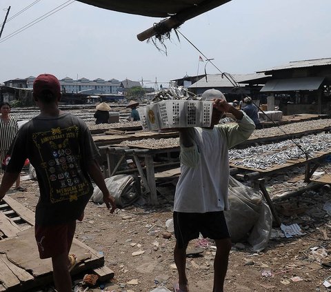 FOTO: Geliat Produksi Ikan Asin di Tengah Cuaca Tak Tentu