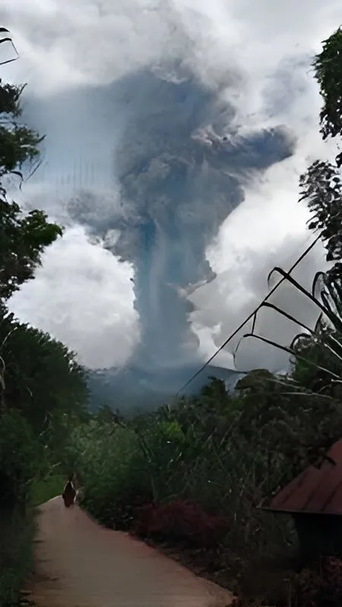Potret Perkebunan Warga Berselimut Tebal Abu Vulkanik Pascagunung Marapi Erupsi<br>