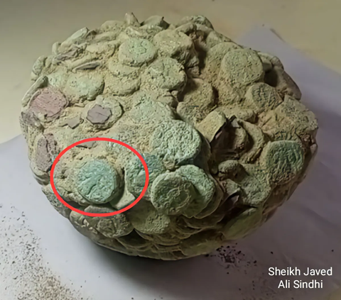 Celengan Berisi Penuh Koin Berusia 2.000 Tahun Ditemukan di Reruntuhan Kuil Budha Kuno