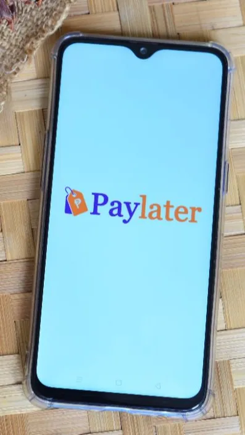 Paylater Diminati Anak Muda, Padahal Bunga Lebih Tinggi dari Kartu Kredit
