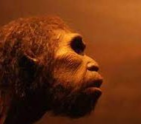 Heboh Penemuan Homo Bodoensis, Spesies Manusia Purba dari 774.000 Tahun Lalu