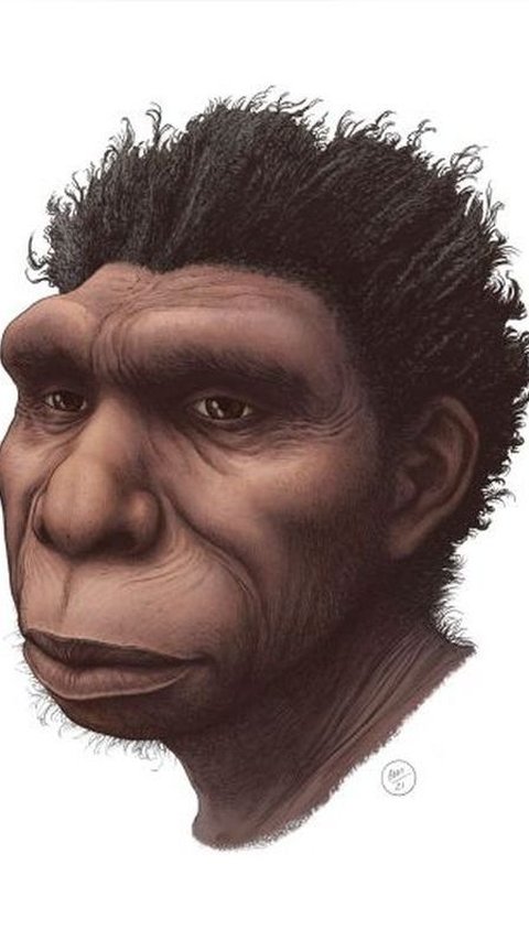Heboh Penemuan Homo Bodoensis, Spesies Baru Manusia Purba dari 774.000 Tahun Lalu