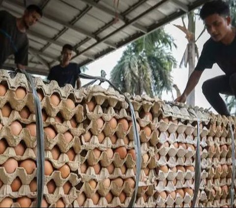 FOTO: Telur Pecah Mulai Diburu Pelanggan di Tengah Kenaikan Harga Telur Ayam Jelang Natal dan Tahun Baru