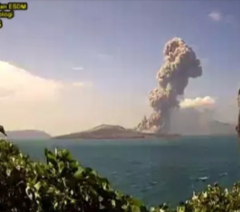 Erupsi Gunung Anak Krakatau, Lontarkan Abu Setinggi 1.400 Meter