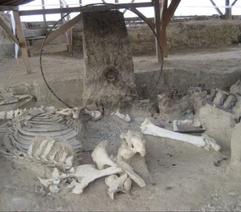 Makam Orang Kaya Yunani dari Abad Kedua Ditemukan, Dikubur Bersama Kereta Kencana dan Kuda