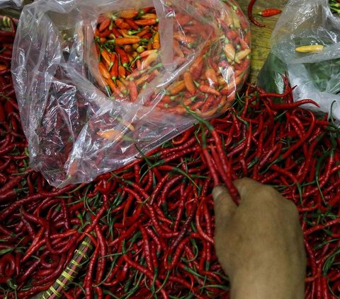 FOTO: Makin Pedas! Harga Cabai Rawit Tembus Rp105 Ribu per Kilogram, Ini Penyebabnya