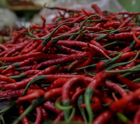 FOTO: Makin Pedas! Harga Cabai Rawit Tembus Rp105 Ribu per Kilogram, Ini Penyebabnya