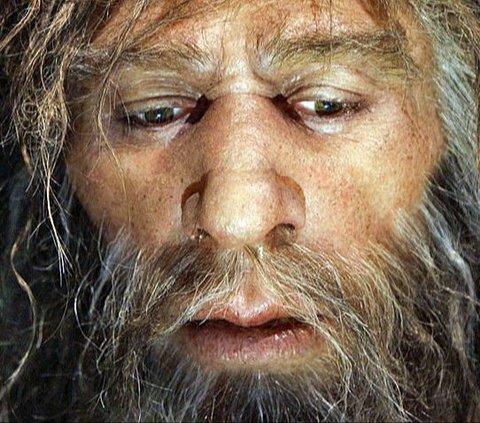 Scientists Discover Ancient DNA and Crossbreeding Concept in Prehistoric Humans