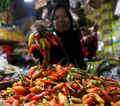 FOTO: Makin Pedas! Harga Cabai Rawit Tembus Rp105 Ribu per Kilogram, Ini Penyebabnya