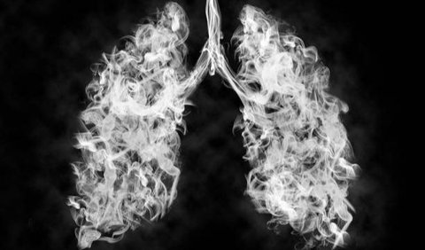 <b>Kenapa Rokok bisa Merusak Paru-paru?</b><br>