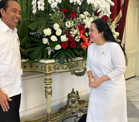 PDIP Jelaskan Pertemuan Puan Maharani dan Luhut Pandjaitan