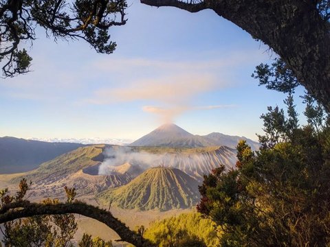 Jadi Taman Nasional Terindah di Dunia, Ini 5 Fakta Menarik Bromo yang Wajib Dikunjungi