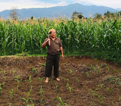 Memilih jadi petani adalah pilihan seorang pensiunan jenderal bintang tiga Polri, Komjen Pol (Purn.) Susno Duadji.