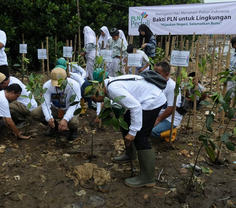 FOTO: Cegah Abrasi dan Kurangi Emisi Karbon, 5.000 Pohon Mangrove Ditanam di Muara Angke