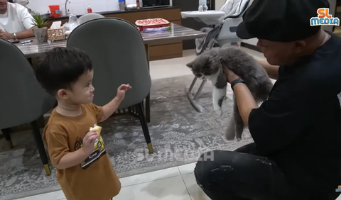 Tak sampai disitu, Adzam juga hendak menunjukan hewan peliharaan kucing di rumahnya bernama Abu. Dengan gayanya yang lucu, Adzam tampak mencari Abu di yang sedang bersembunyi di salah satu sudut rumahnya.<br>