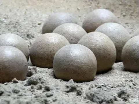 Dikira Batu Biasa, Ternyata Tersimpan 70 Butir Telur Dinosaurus dengan Total Berat 2 Ton!
