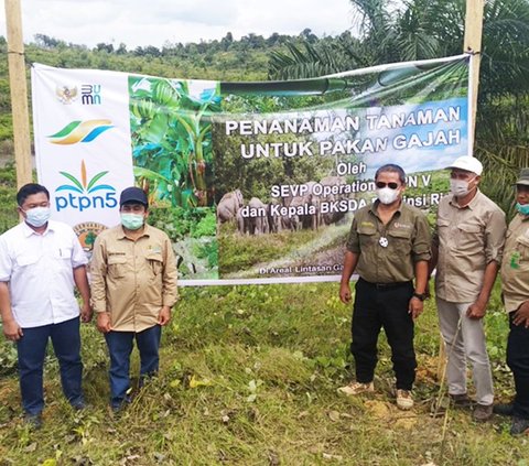 Jalankan Instruksi Presiden, PalmCo Alokasikan 50 Hektare Lahan Sawit untuk Konservasi Satwa