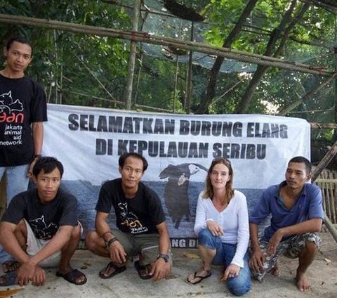 Mencegah Kepunahan Elang Bondol si Maskot Jakarta