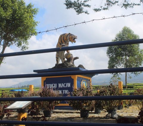 Imbas Erupsi Marapi, Pendaki Gunung Kerinci Dilarang Sampai Puncak