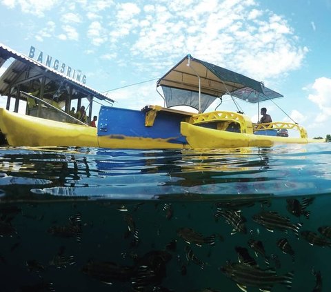 Menjelajahi Desa Bangsring Banyuwangi, Dulunya Daerah Tertinggal Kini Jadi Spot Wisata Laut Favorit