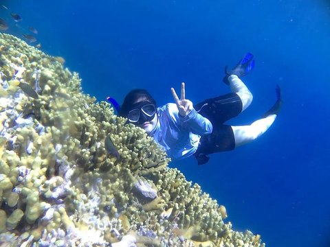 Snorkeling dan Diving