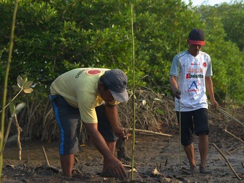 Cerita Kelompok Tani Tunas Tanjung Harapan Lestarikan Mangrove di Deli Serdang