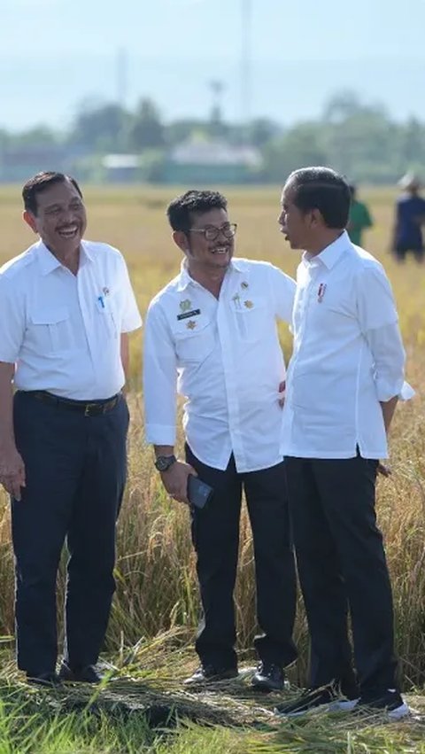 Senyum Jokowi dan Mentan, Sulsel Surplus Beras