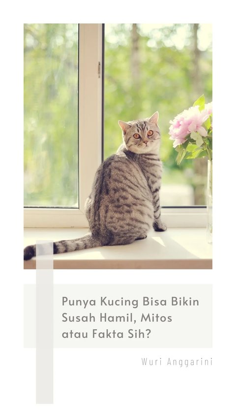 Punya Kucing Bisa Bikin Susah Hamil, Mitos atau Fakta Ya?