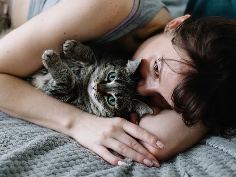 Pemilik Kucing Punya Antibodi terhadap Parasit