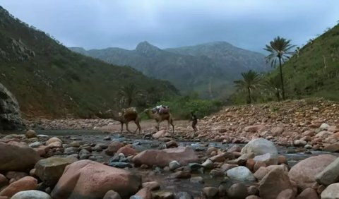 Pulau Socotra jadi Sorotan