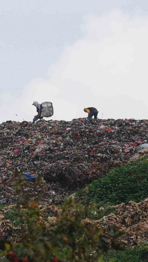 Ada 4 Gunung di Tempat Pengolahan Sampah Terpadu (TPST) Bantargebang. Tingginya  mencapai 50-60 meter.<br /><br />Bila dikonversi menjadi gedung, ketinggian gunung sampah itu setara dengan bangunan 20 lantai.