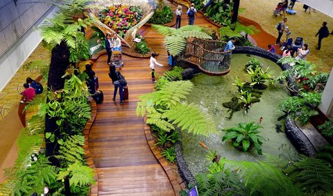 Fasilitas mewah yang bisa ditemukan di Terminal 1 Bandara Changi Singapura adalah Vivarium Hutan Hujan Tropis, (traveler dapat menemukan lebih dari 50 spesies flora dan hampir 10 spesies fauna), dan Water Lily Garden (menampilkan tanaman air terbesar di dunia).