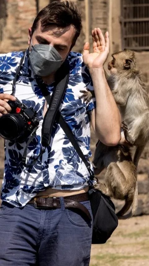 Penelitian ini dilakukan oleh tim dari Institut Zoologi Kunming dengan para ilmuwan AS asal Universitas Carolina Utara. Tim studi ini menjelaskan bahwa tes kognitif yang mereka lakukan mendeteksi adanya peningkatan memori jangka pendek pada monyet transgenik.