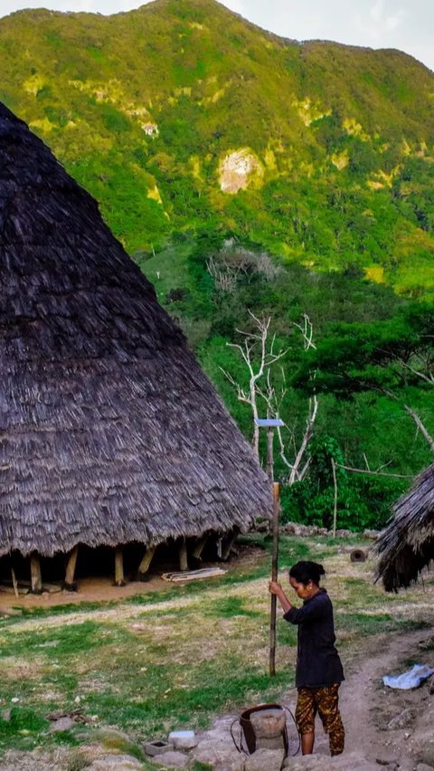 Desa Wae Rebo berada di ketinggian 1.100 mdpl. Dikelilingi perbukitan dan pegunungan, seolah desa ini mengisolasi diri. Aksesnya juga sangat minim, perlu melewati hutan dengan tanjakan dan turunan yang beragam.