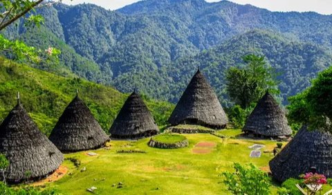 Tak hanya Mbaru Niang, ada beberapa rumah penduduk lainnya yang tersebar di sekitar kompleks Mbaru Niang.