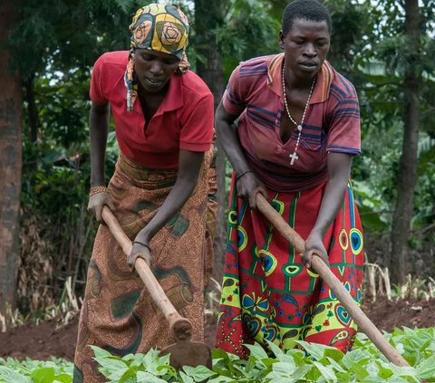 Pertanian subsisten membuat petani Burundi fokus membudidayakan bahan pangan dalam jumlah yang hanya cukup untuk mereka sendiri dan keluarga