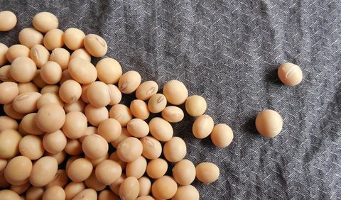 Kacang Kedelai Dibawa Bangsa Tiongkok Masuk ke Indonesia