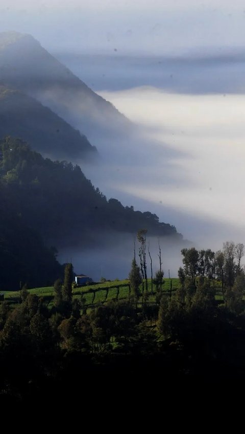 Mengintip Keindahan Kaldera Bromo