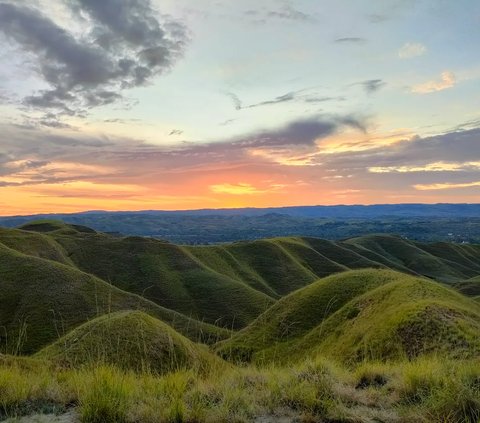 2. Bukit Tenau<br />Berada di Sumba Timur, sekitar 15 km dari kota Waingapu. Bukit ini menawarkan sabana nan menghijau saat musim hujan dan bukit-bukit kecil yang magic saat sunset. Begitu indah!