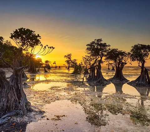 Selain Labuan Bajo, NTT Juga Punya Surga Dunia di Pulau Sumba