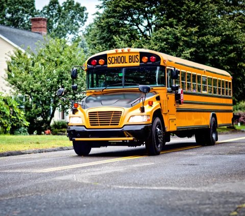 Kenapa Bus Sekolah Kebanyakan Berwarna Kuning?